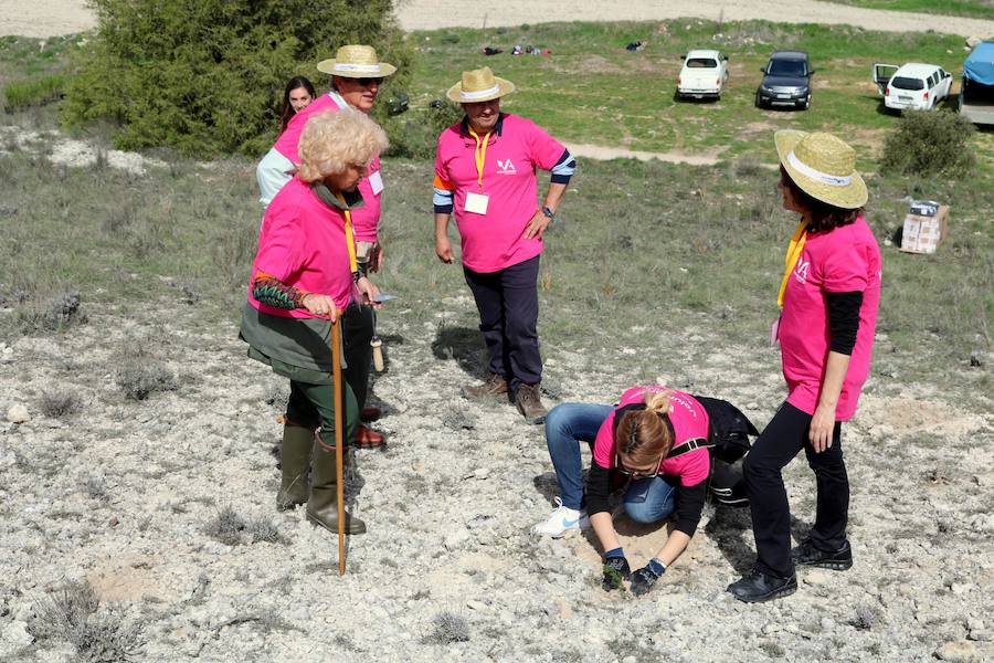 Fotos: Jornada de reforestación en Cevico Navero