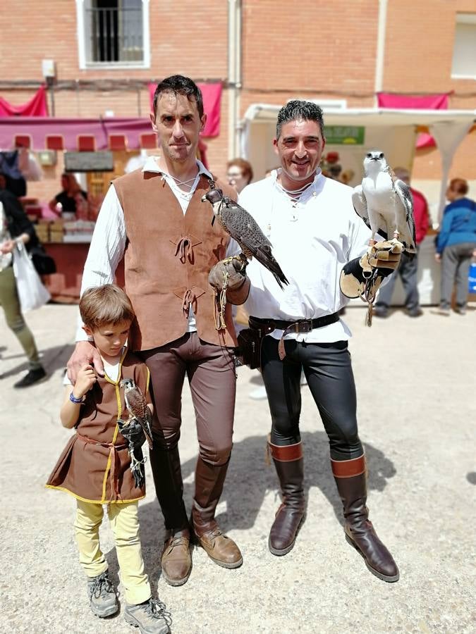 Fotos: Mercado comunero en Torrelobatón