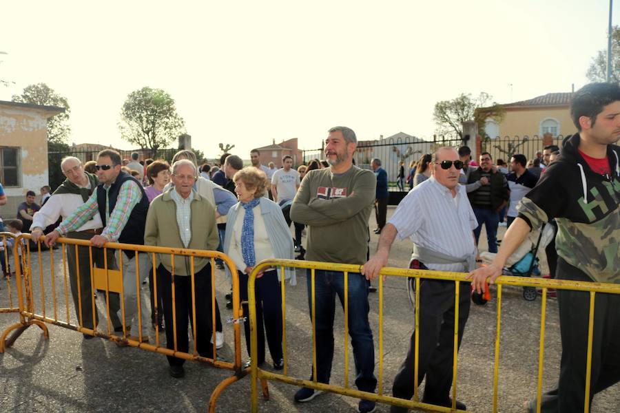 Fotos: Degustación de panceta en Torquemada