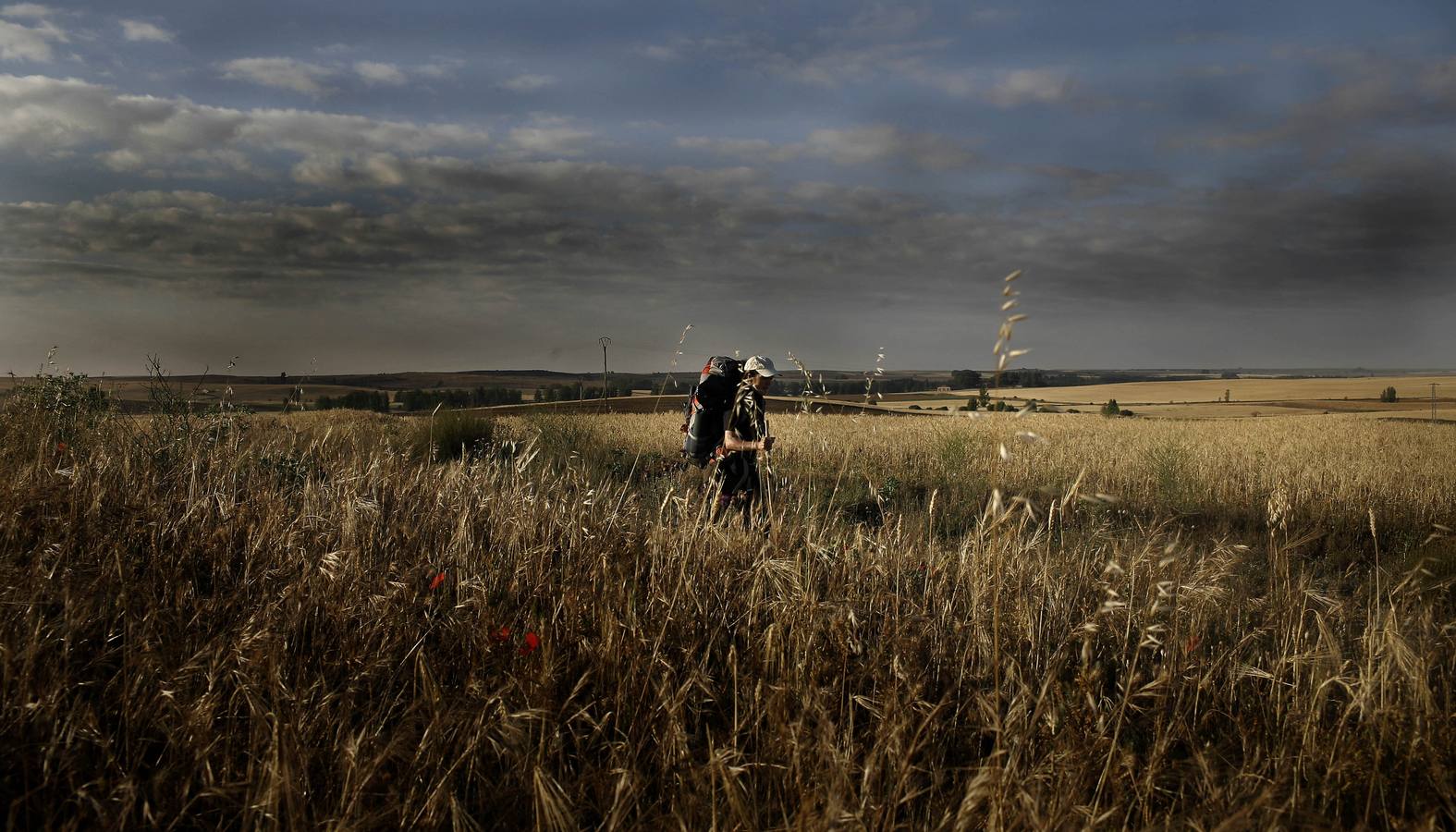 Un camino único que cada peregrino vive de una manera única