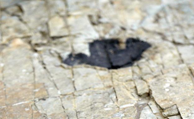 Huella de dinosaurio.