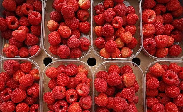 Frambuesas