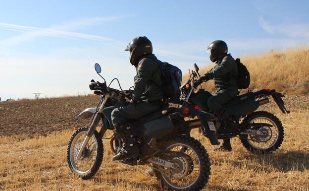 Agentes del Servicio de Protección de la Naturaleza (Seprona) de la Guardia Civil. 