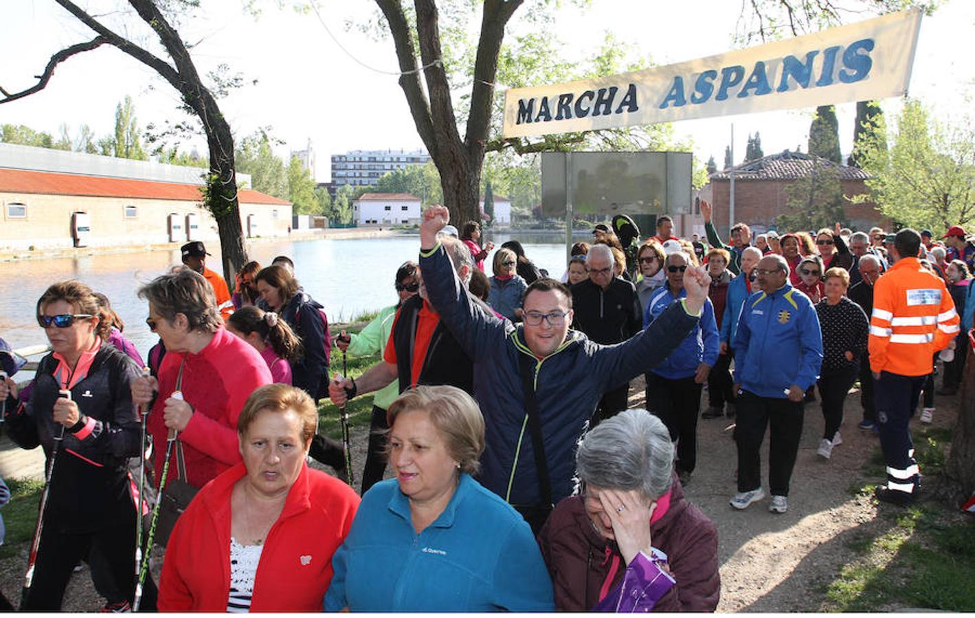 Fotos: Palencia camina a favor de Aspanis
