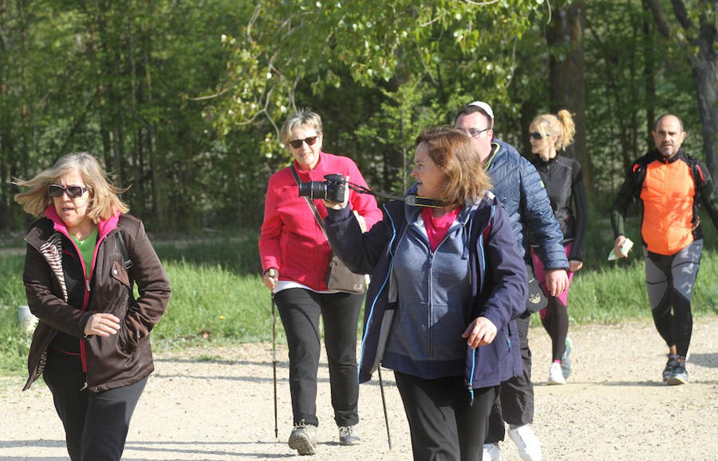Fotos: Palencia camina a favor de Aspanis