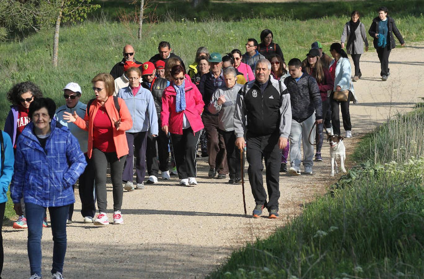 Fotos: Palencia camina a favor de Aspanis