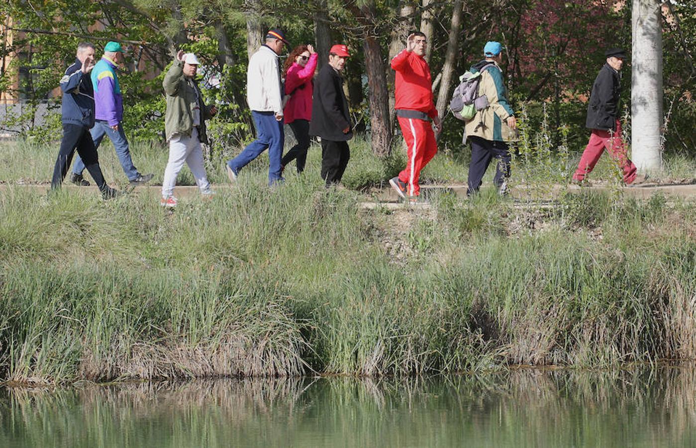 Fotos: Palencia camina a favor de Aspanis