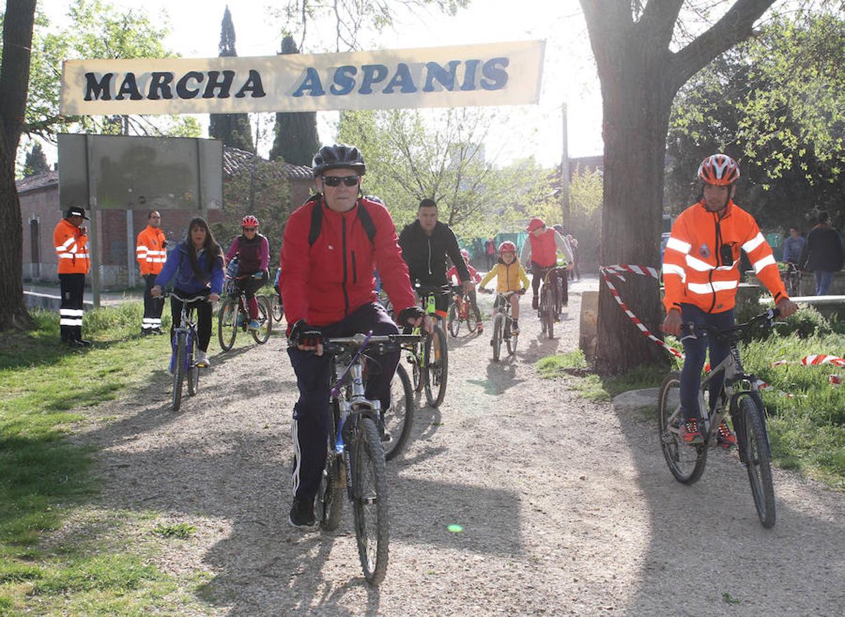 Fotos: Palencia camina a favor de Aspanis