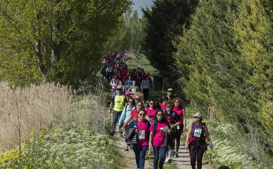 Fotos: 41 edición de la Marcha Asprona en Valladolid