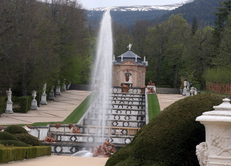 Fotos: El Rey Felipe VI preside en el Palacio Real de La Granja la reunión del Instituto Elcano