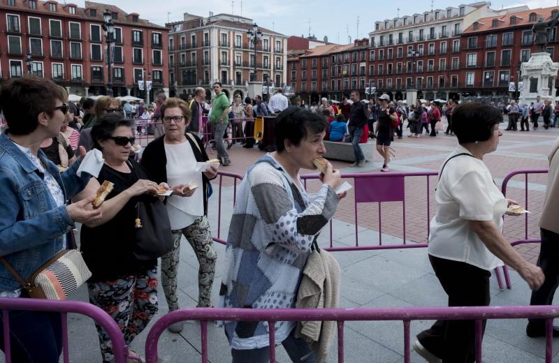 Fotos: Reparto de la Corona de San Pedro