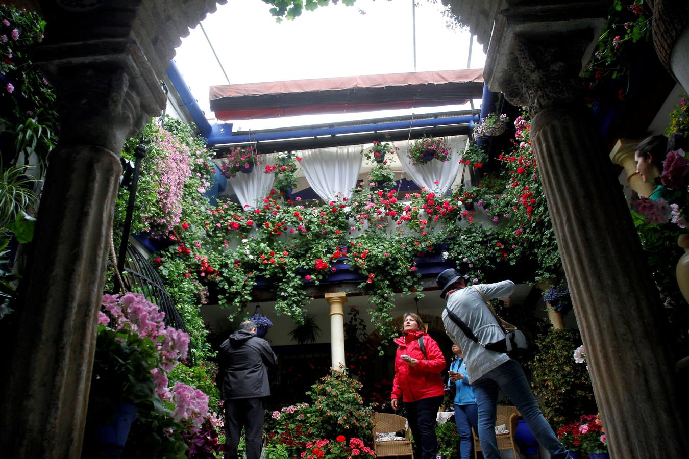 El Concurso Municipal de Los Patios de Córdoba celebra su edición de 2018, del 1 al 13 de mayo, con la participación de un total de 50 recintos