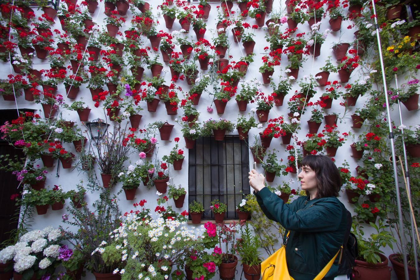 El Concurso Municipal de Los Patios de Córdoba celebra su edición de 2018, del 1 al 13 de mayo, con la participación de un total de 50 recintos