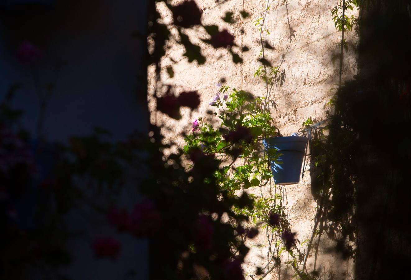 El Concurso Municipal de Los Patios de Córdoba celebra su edición de 2018, del 1 al 13 de mayo, con la participación de un total de 50 recintos