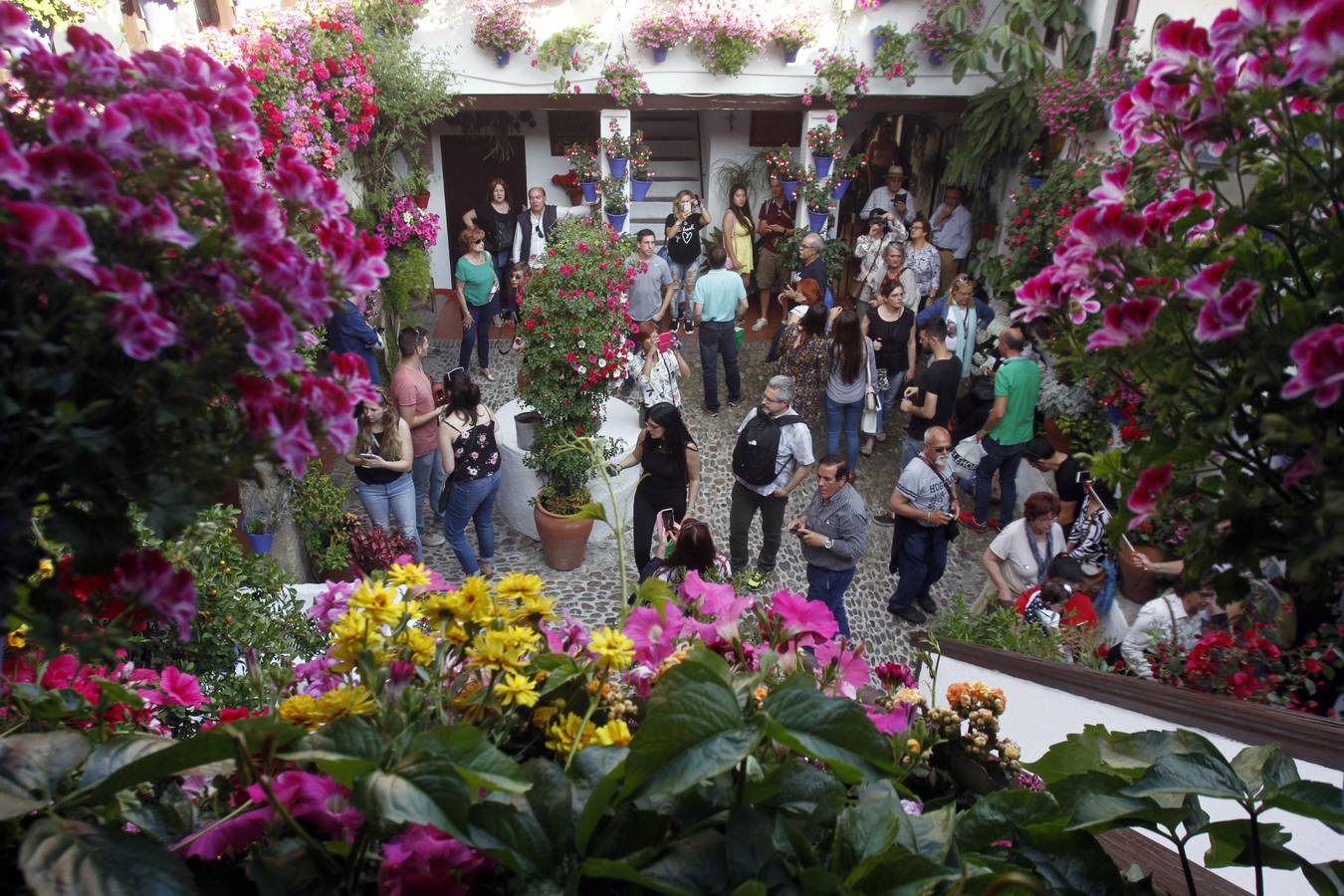 El Concurso Municipal de Los Patios de Córdoba celebra su edición de 2018, del 1 al 13 de mayo, con la participación de un total de 50 recintos
