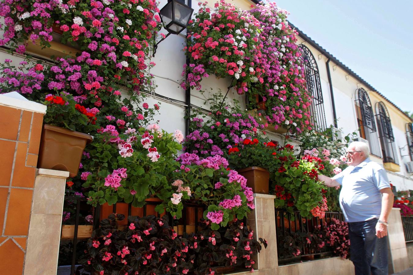 El Concurso Municipal de Los Patios de Córdoba celebra su edición de 2018, del 1 al 13 de mayo, con la participación de un total de 50 recintos