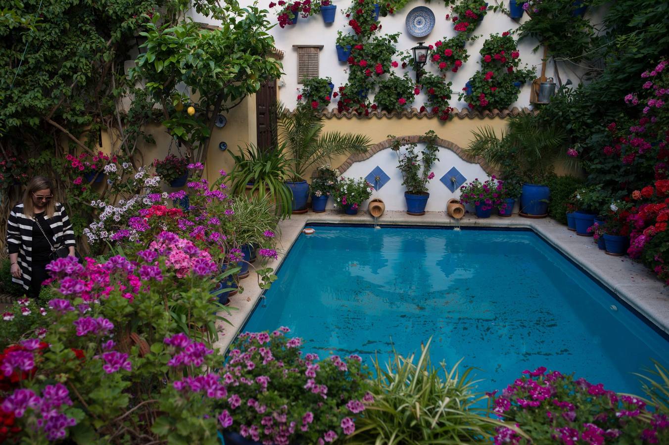 El Concurso Municipal de Los Patios de Córdoba celebra su edición de 2018, del 1 al 13 de mayo, con la participación de un total de 50 recintos