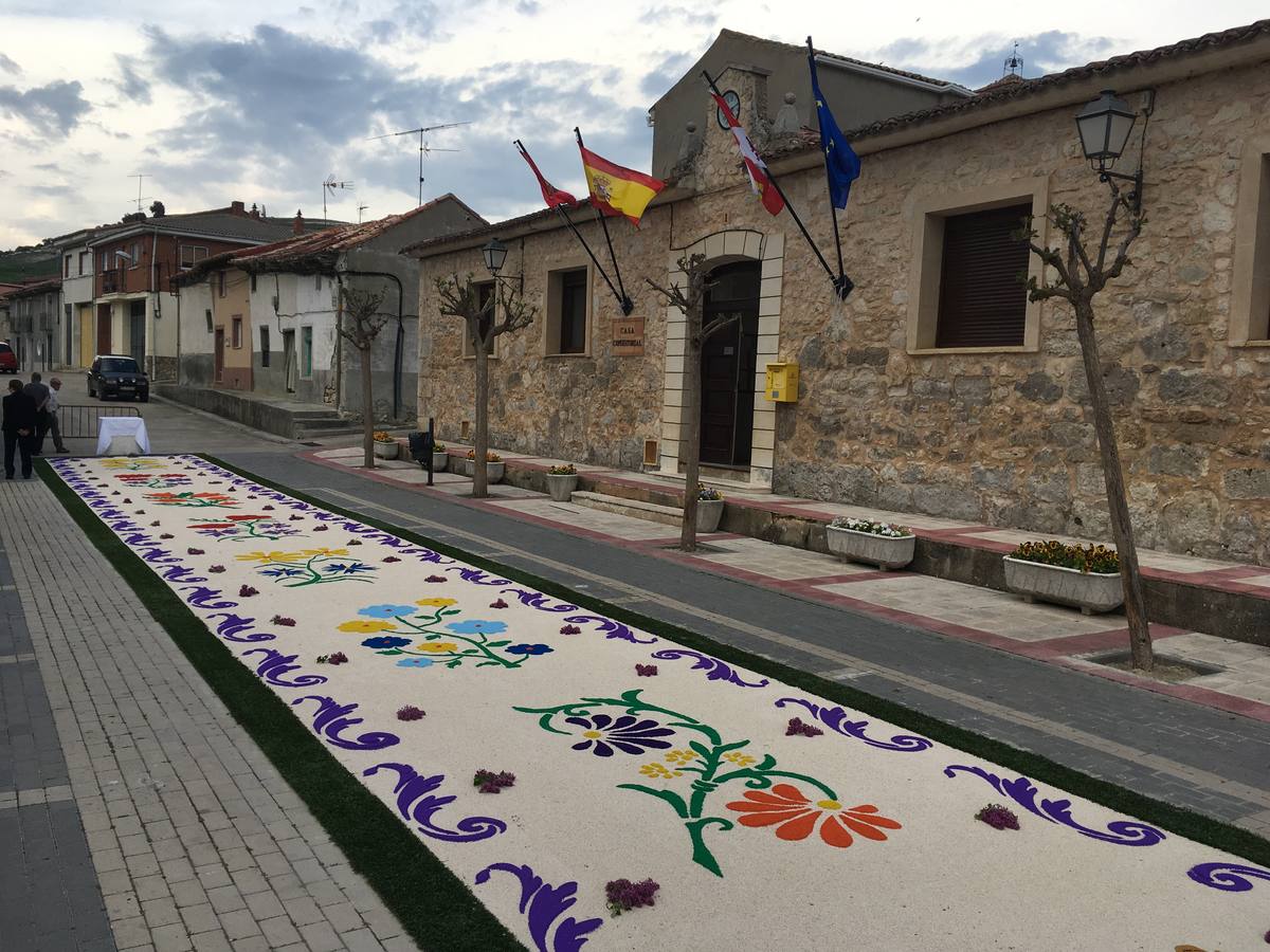 Diecisiete santos desfilaron sobre una alfombra floral confeccionada para su patrón en las fiestas de la localidad