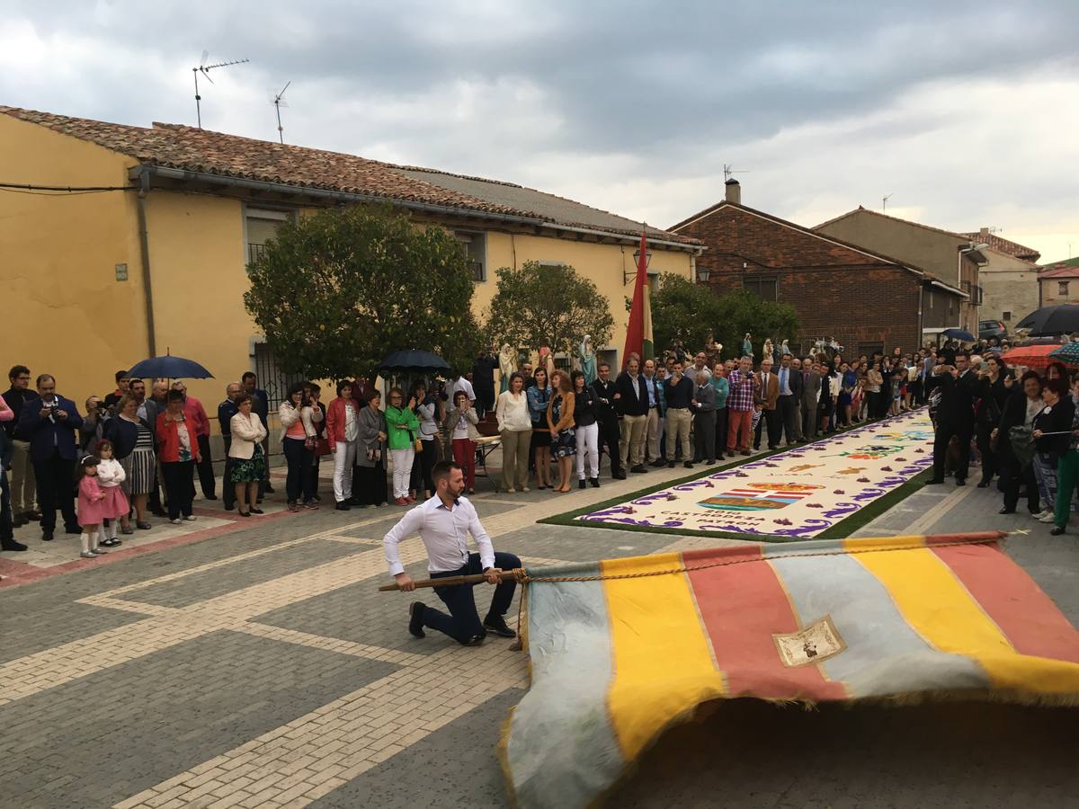 Diecisiete santos desfilaron sobre una alfombra floral confeccionada para su patrón en las fiestas de la localidad