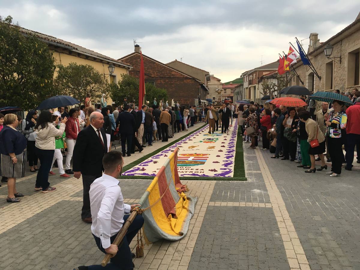 Diecisiete santos desfilaron sobre una alfombra floral confeccionada para su patrón en las fiestas de la localidad