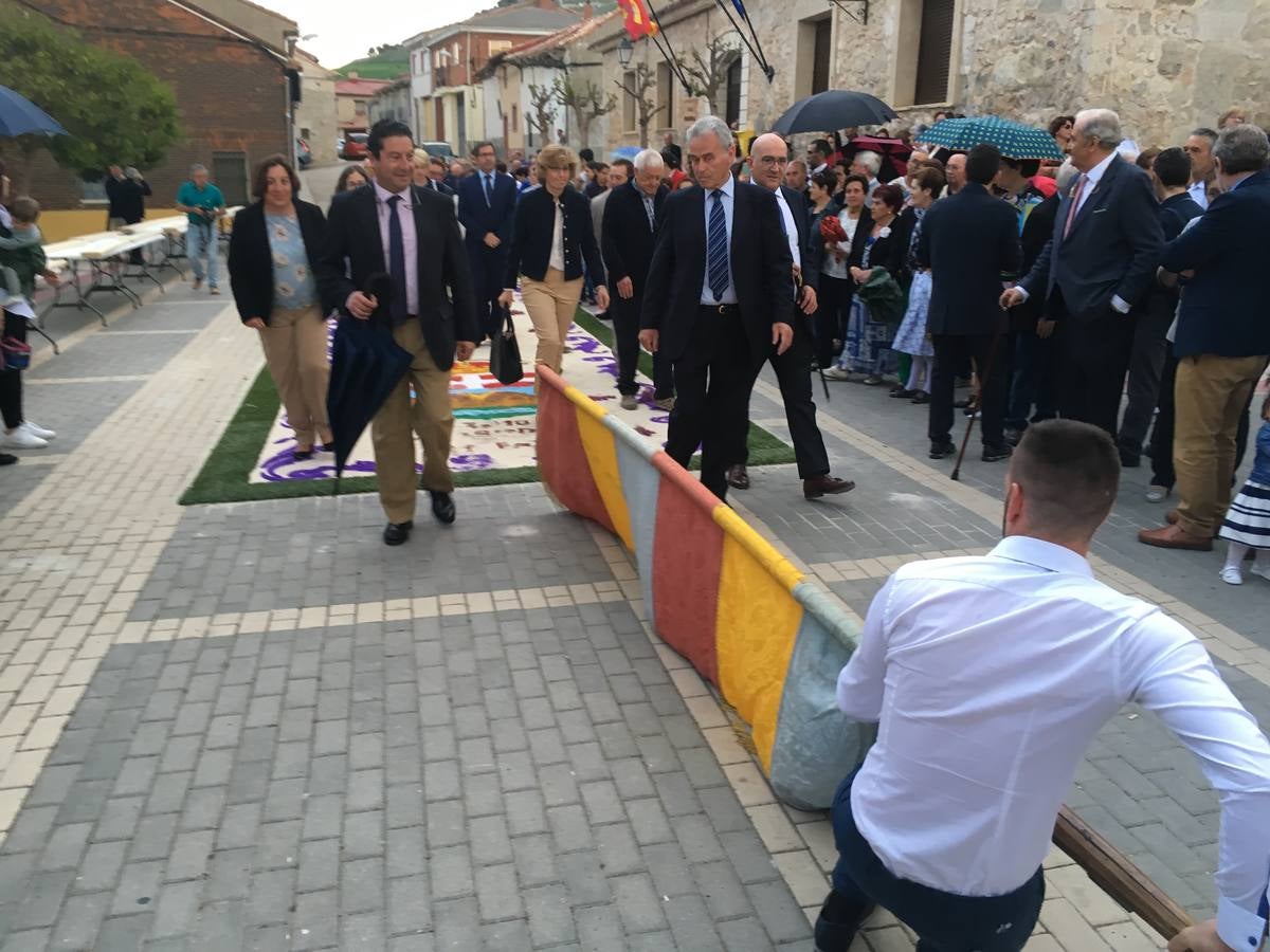 Diecisiete santos desfilaron sobre una alfombra floral confeccionada para su patrón en las fiestas de la localidad