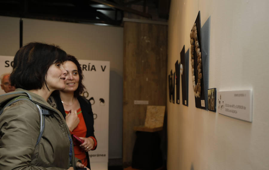 Fotos: Diseño de joyas de la Escuela de Arte de Palencia