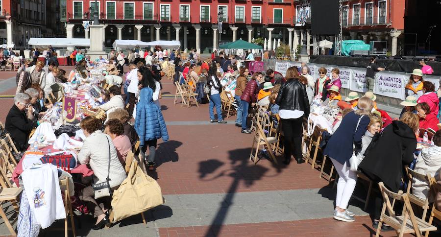 Fotos: Encuentro de Bolillos en la Plaza Mayor de Valladolid