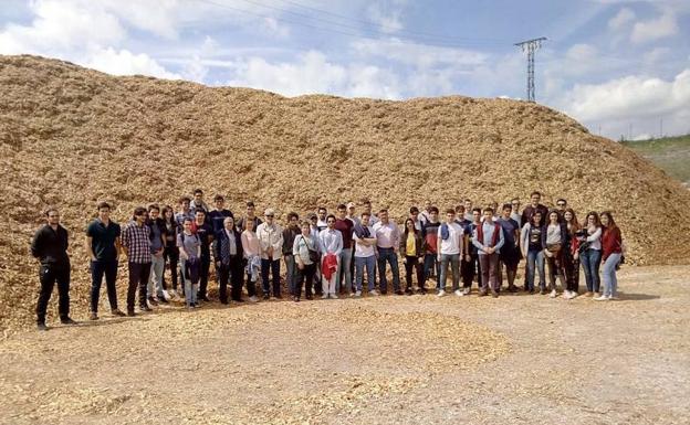 Los alumnos, durante la visita. 