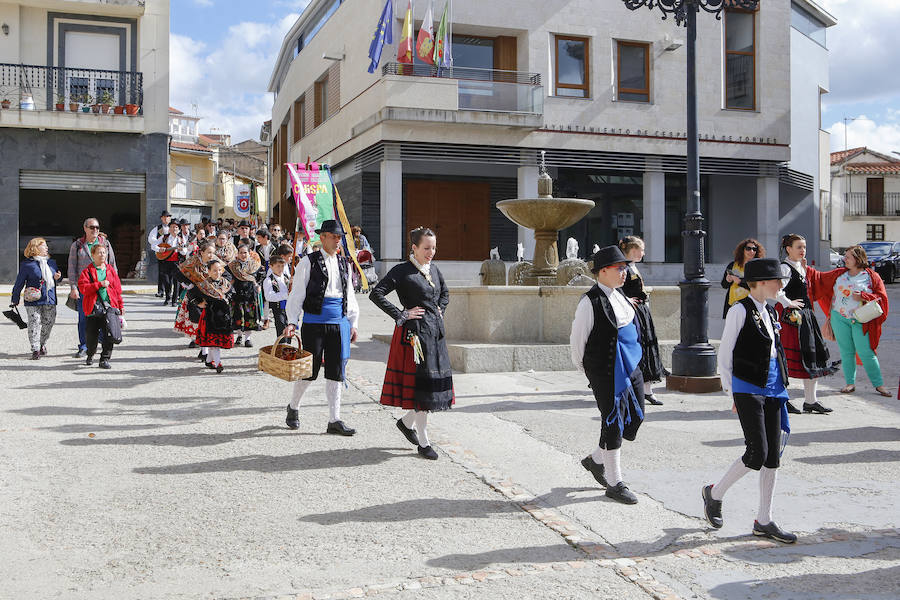 El municipio celebró ayer por todo lo alto, y con numerosa presencia de público, la undécima edición del Festival de Danzas Reserva de la Biosfera 'Sierras de Béjar y de Francia', un certamen que nació ligado al programa 'Primavera en las Sierras'. 