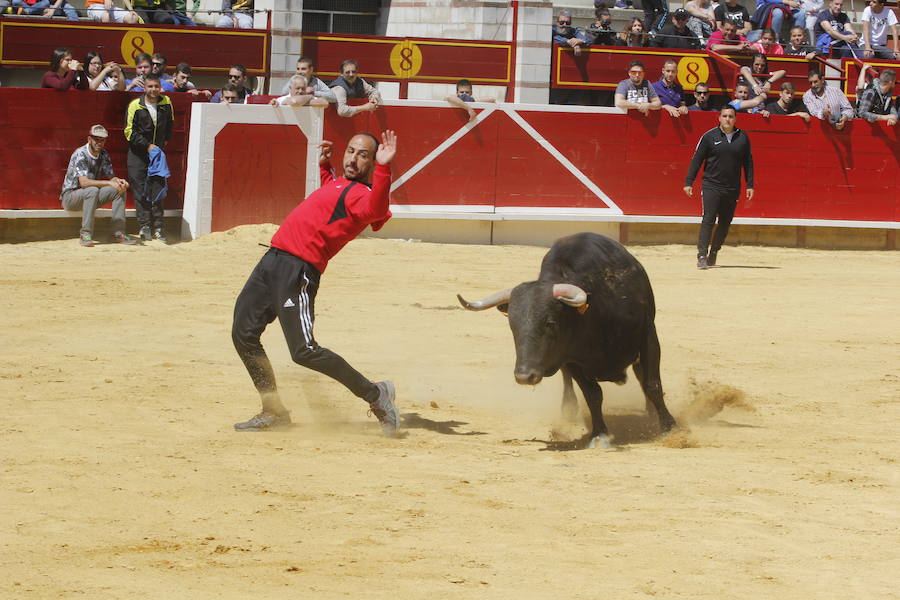 Fotos: Las fiestas de San Pedro Regalado en Laguna de Duero ya han comenzado