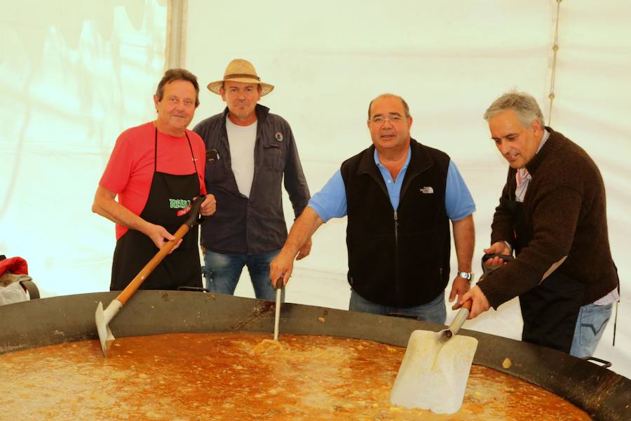 Fotos: San Isidro en Villaviudas