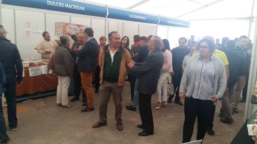 Fotos: Feria Transfronteriza del Aceite y el Olivar de Vilvestre