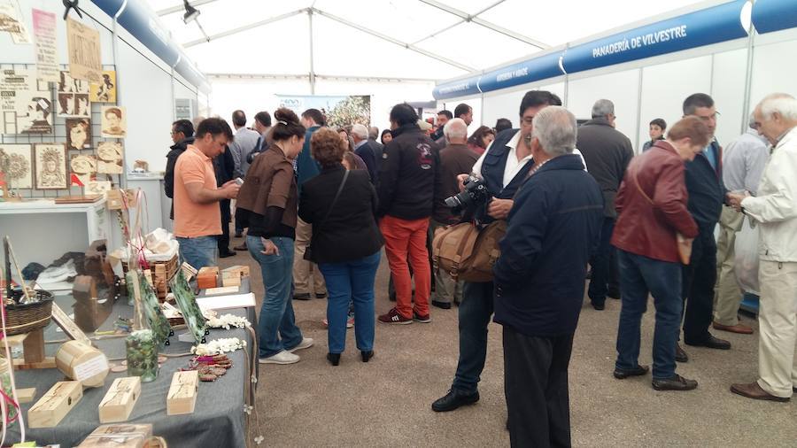 Fotos: Feria Transfronteriza del Aceite y el Olivar de Vilvestre