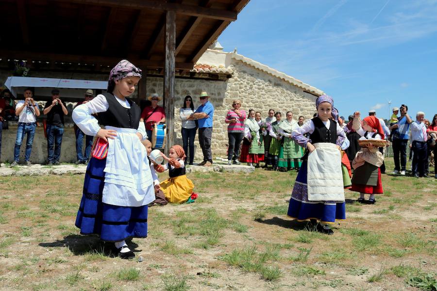 Fotos: Baltanás disfruta de la fiesta de San Gregorio