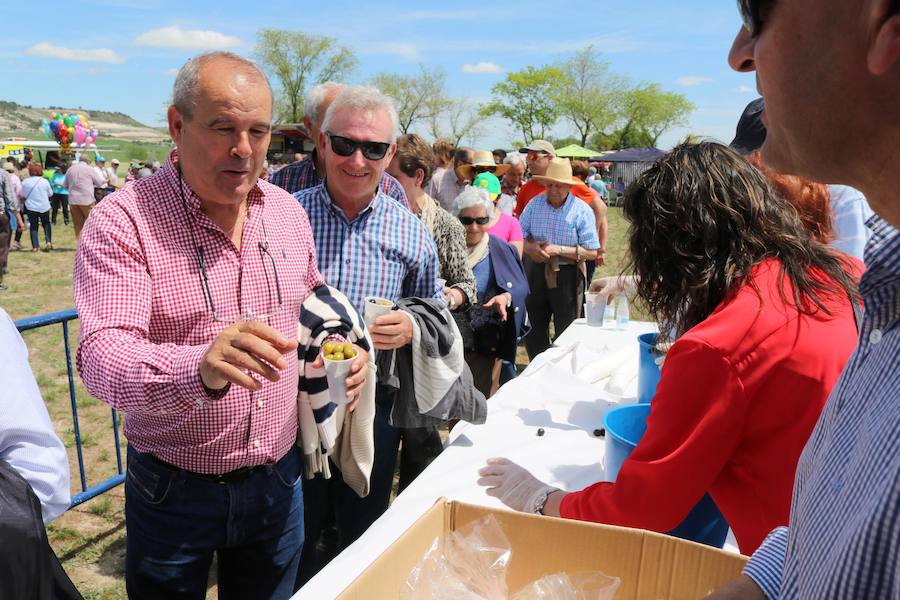 Fotos: Baltanás disfruta de la fiesta de San Gregorio