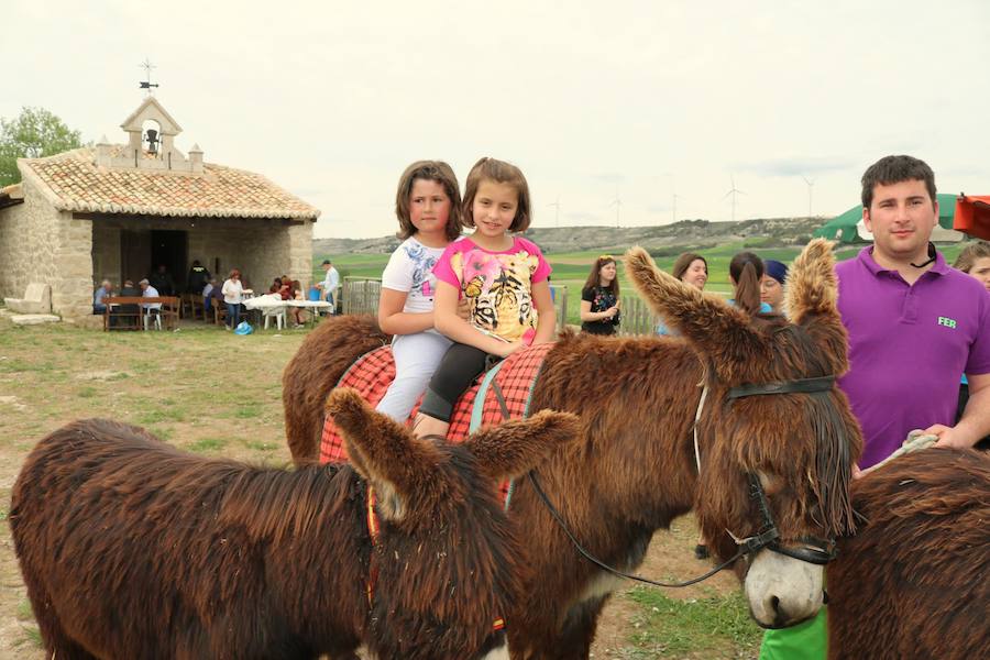 Fotos: Baltanás disfruta de la fiesta de San Gregorio