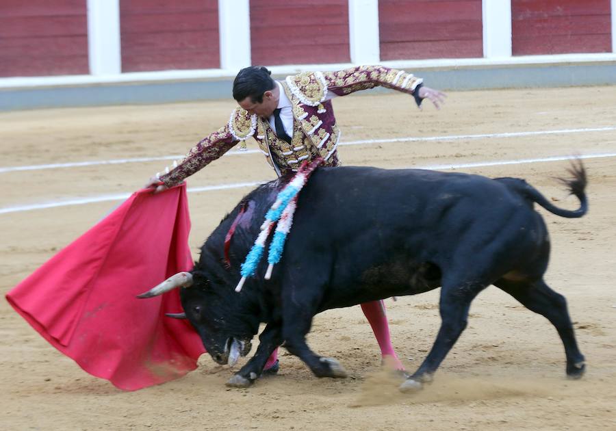 Fiestas de San Pedro Regalado 2018