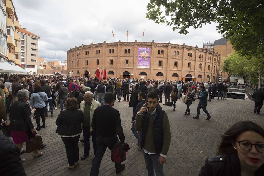 Fiestas de San Pedro Regalado 2018