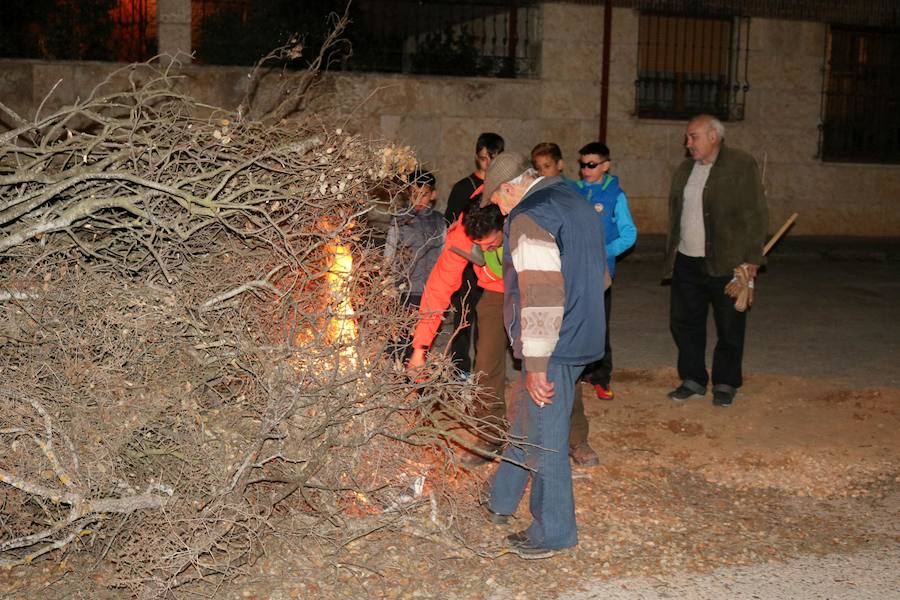 Fotos: Torquemada celebra San Isidro