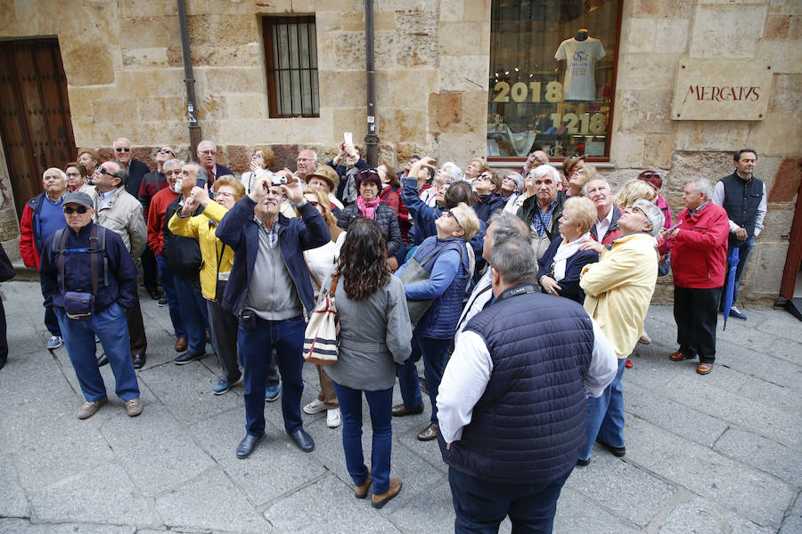 Fotos: Día Internacional de los Museos en Salamanca