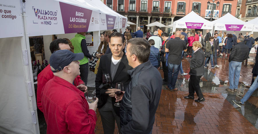 Fotos: Jornada del sábado por la tarde en la feria &#039;Valladolid, plaza mayor del vino&#039;