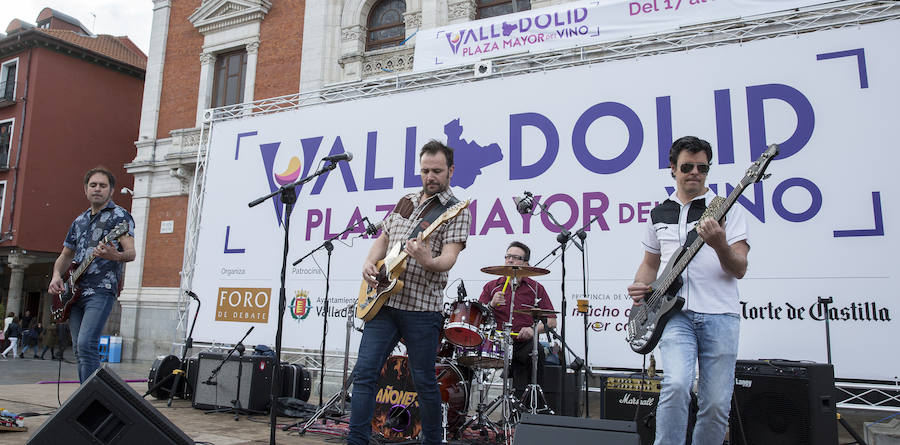 Fotos: Jornada del sábado por la tarde en la feria &#039;Valladolid, plaza mayor del vino&#039;