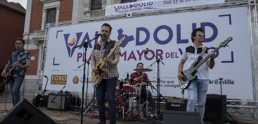 Fotos: Jornada del sábado por la tarde en la feria &#039;Valladolid, plaza mayor del vino&#039;