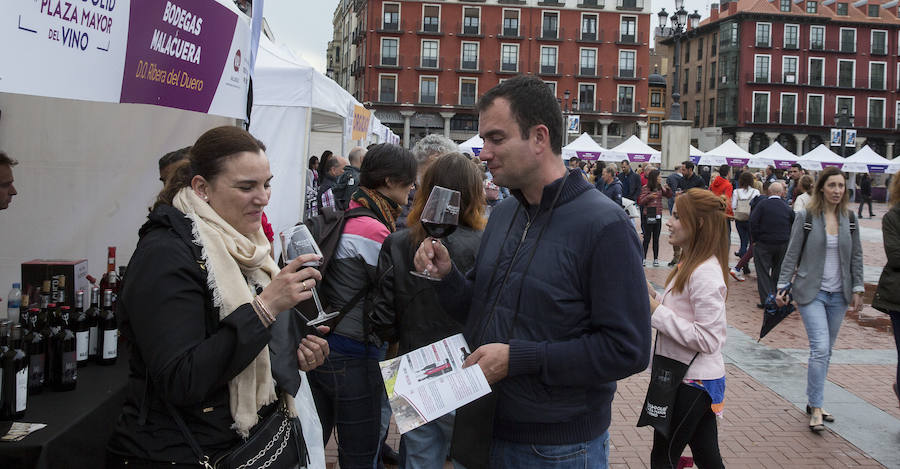 Fotos: Jornada del sábado por la tarde en la feria &#039;Valladolid, plaza mayor del vino&#039;