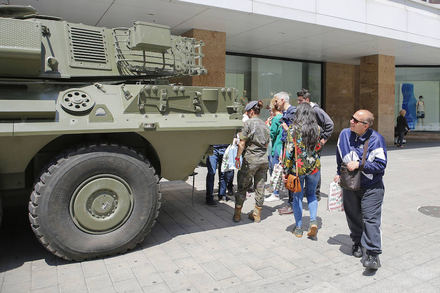 Fotos: Día de las Fuerzas Armadas en Salamanca