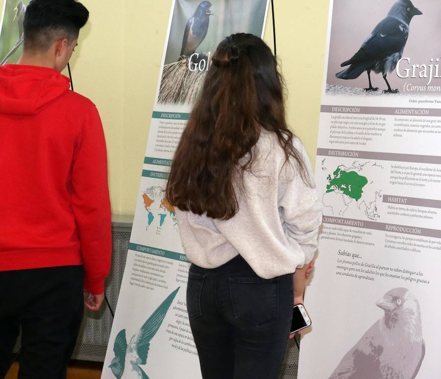 Fotos: Inauguración de &#039;Expo Aves. A vista de Pajarillos&#039;
