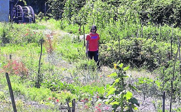 Parcelas de las huertas de ocio situadas en San Lorenzo. 