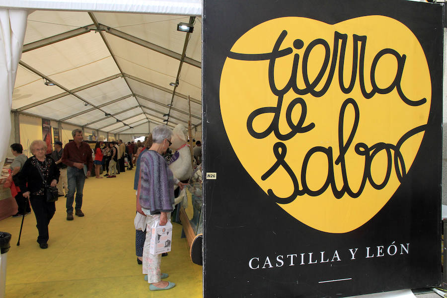 Fotos: Inauguración de la carpa de Tierra de Sabor
