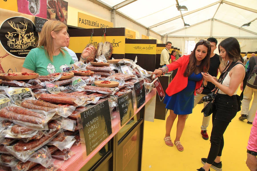 Fotos: Inauguración de la carpa de Tierra de Sabor