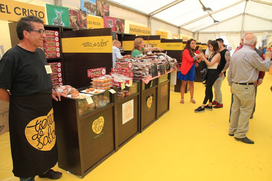 Fotos: Inauguración de la carpa de Tierra de Sabor